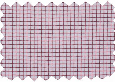 Catalogue photo 501: describe the garment or fabric shown, then add 'Lucky & Oscar Bangkok'